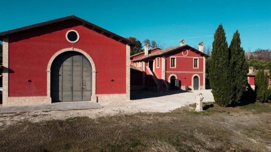 Marche: unique visit and tasting at D'Erasmo Winery among signature wines - Practicalities and Value