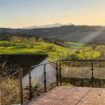 Marche Wines: Explore the Richness of Local Flavors - A Closer Look at Marche Wines: What to Expect