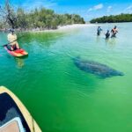 Marco Island: Guided Manatee-Watching Kayaking or SUP Tour - Exploring Marco Island’s Waterways: A Detailed Review