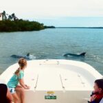 Marco Island: Private Shelling & Dolphin Excursion - Who is This Tour Best For?