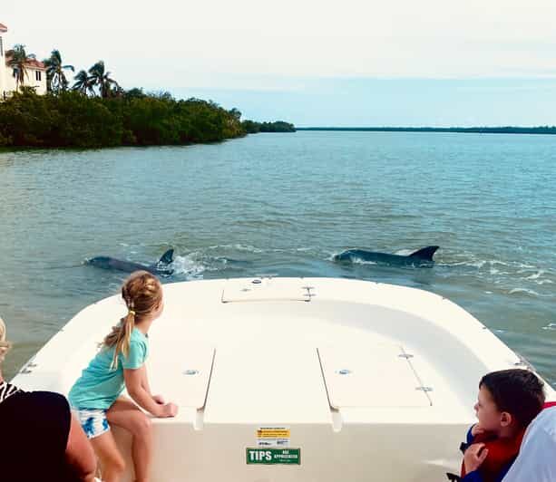 Marco Island: Private Shelling & Dolphin Excursion - Who is This Tour Best For?