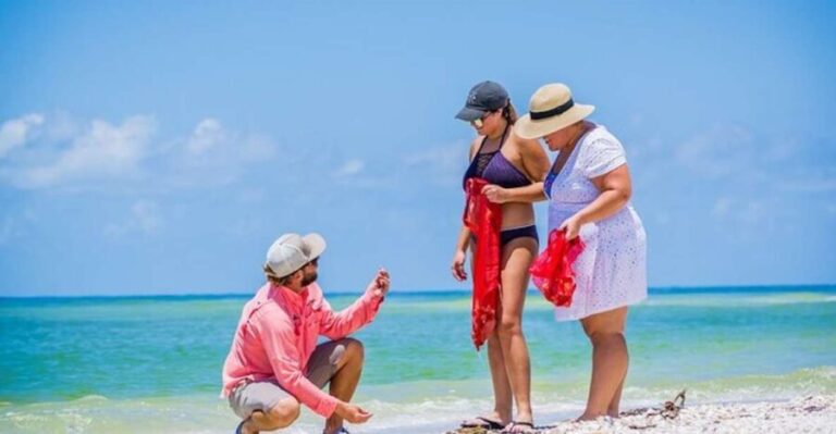 Marco Island: Shelling and Sightseeing Boat Cruise - What Travelers Say