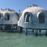 Marco Island: Ten Thousand Islands Shelling & Dolphin Tour - Authentic Experiences & Honest Feedback