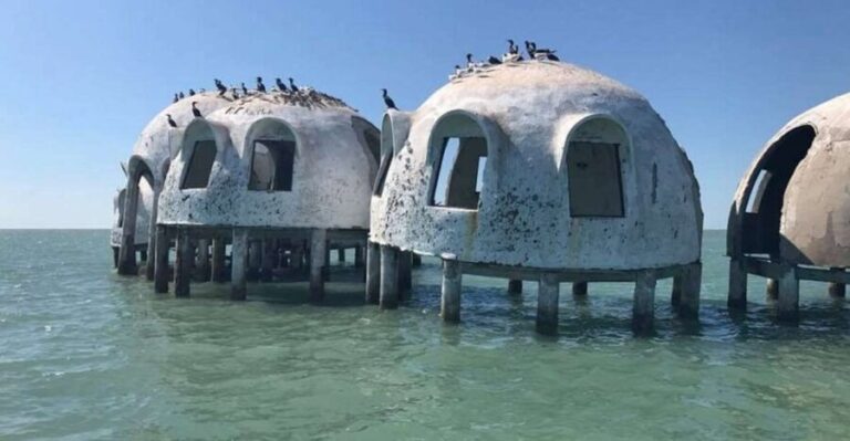 Marco Island: Ten Thousand Islands Shelling & Dolphin Tour - Authentic Experiences & Honest Feedback