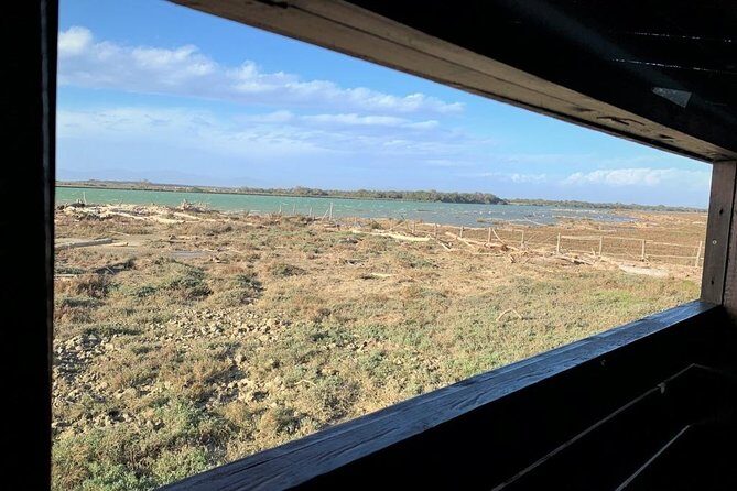 Maremma natural park e-bike tour - The Sum Up: Is This Tour Right for You?