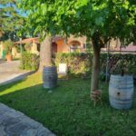 Maremma: Oil tasting with an aperitif of typical products - A Closer Look at the Experience