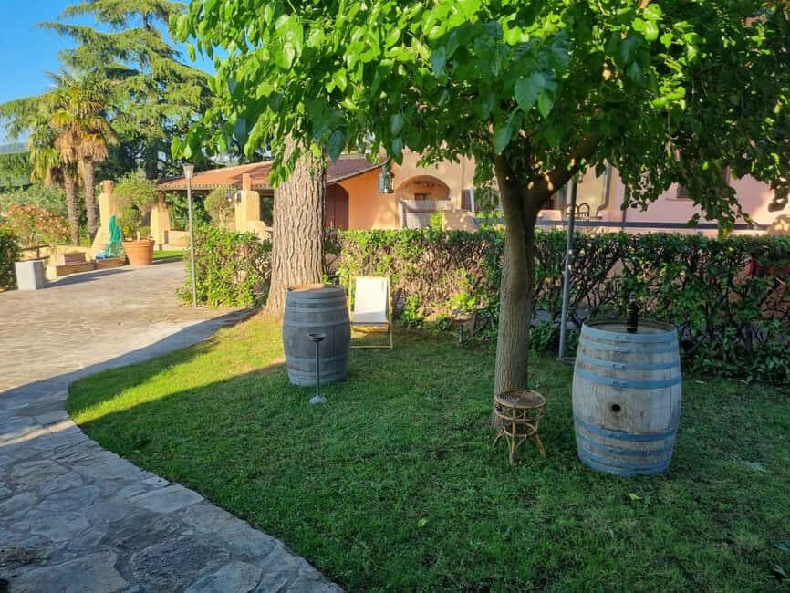 Maremma: Oil tasting with an aperitif of typical products - A Closer Look at the Experience