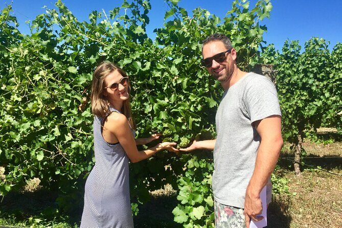 Margaret River Beer & Wine Adventure (departs Margaret River) - Transportation, Timing, and Group Size