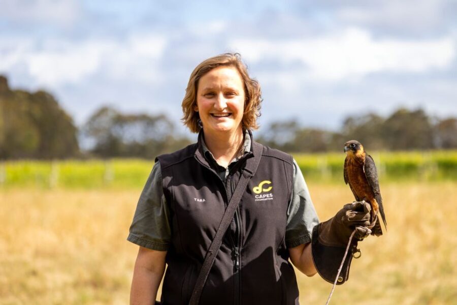 Margaret River: Birds of Prey Encounter and Forest Walk - One Consideration