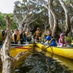 Margaret River Canoe Tour Including Lunch - Who Should Consider This Tour?