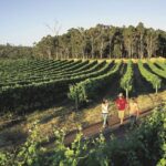 Margaret River, Caves, Wine and Cape Leeuwin Lighthouse Tour from Perth - Authentic Insights from Travelers