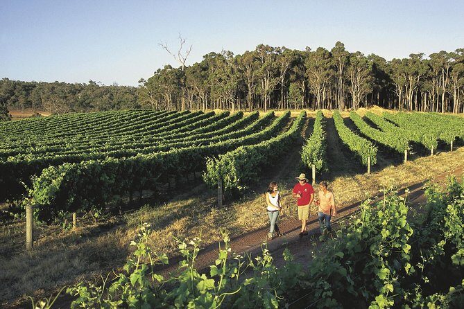 Margaret River, Caves, Wine and Cape Leeuwin Lighthouse Tour from Perth - Authentic Insights from Travelers