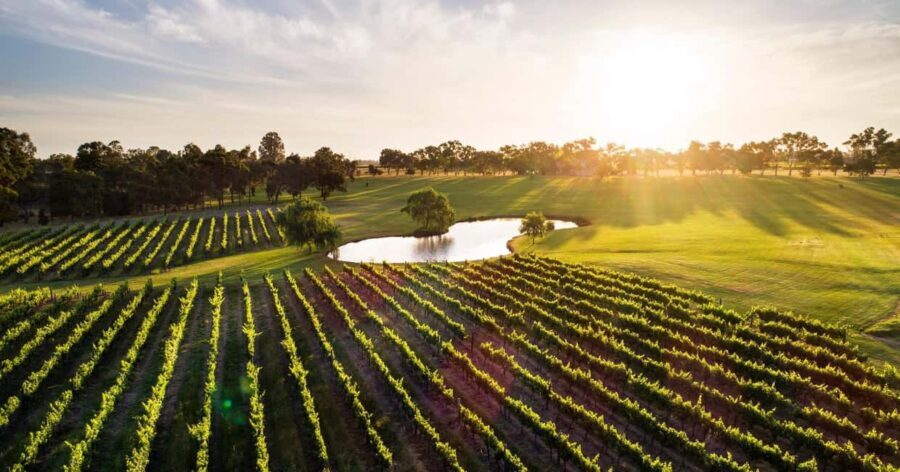 Margaret River, Chocolate, Wine & Coast Day Trip from Perth - Why This Tour Is a Great Value