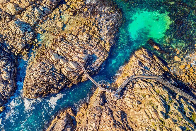 Margaret River Day Tour With Wildlife Cruise & Wine Tasting - In-Depth Look at the Itinerary