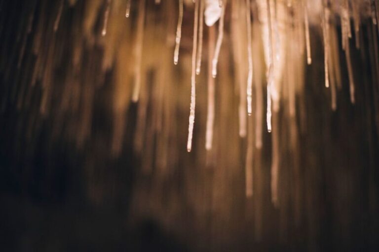 Margaret River: Lake Cave Fully-Guided Tour - The Guide and Overall Experience