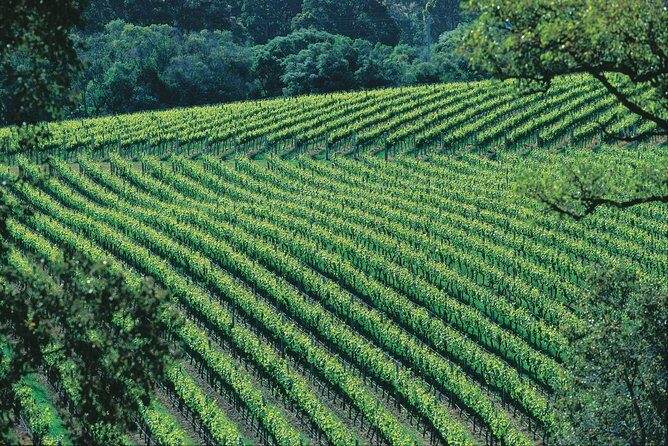 Margaret River Private Tour - FAQs
