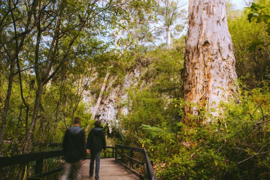 Margaret River: Self-Guided Audio Tour of Mammoth Cave - Frequently Asked Questions