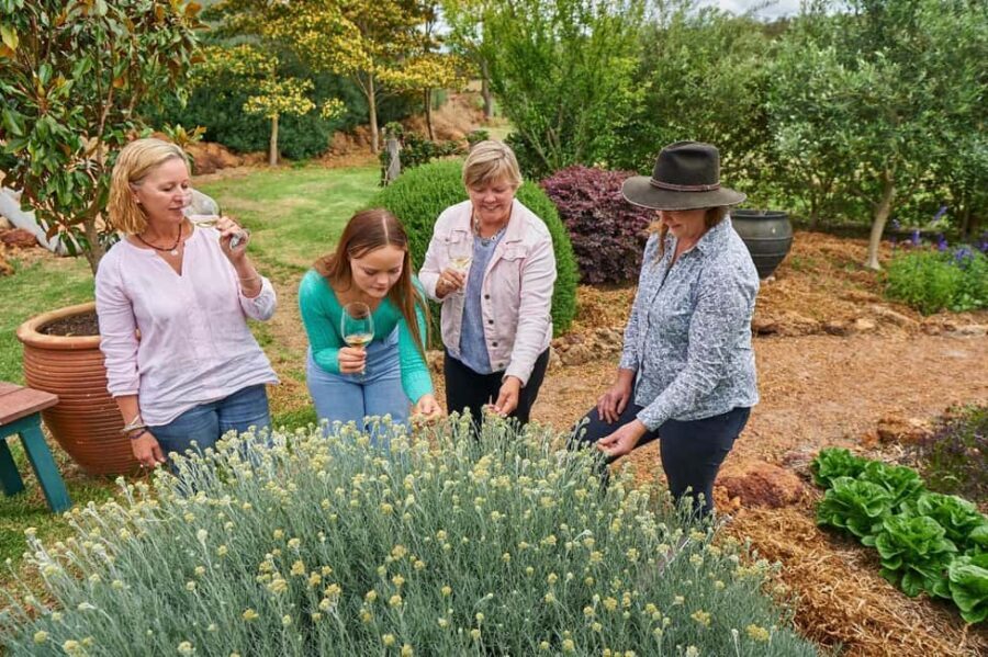 Margaret River: Whicher Ridge Immersive Wine Experience - A Closer Look at the Experience