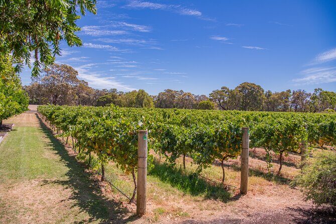 Margaret River Wine and Beer Discovery Tour - Who is This Tour Best Suited For?