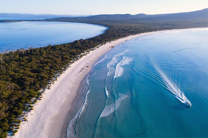 Maria Island Cruise and Guided Walk Day Tour with Lunch and Drinks - Final Thoughts