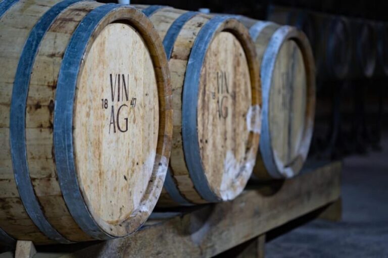 Maribor: Vinag Wine Cellar Tour with Wine tasting and snacks - A Close Look at the Vinag Wine Cellar Tour