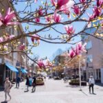 Mariehamn Private Guided Walking Tour - Who Is This Tour Best For?