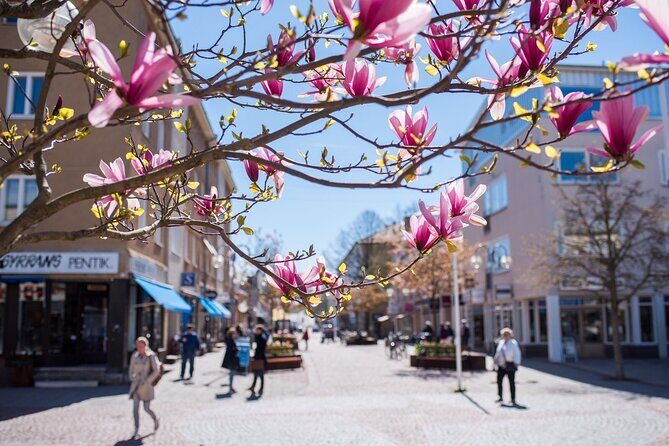 Mariehamn Private Guided Walking Tour - Who Is This Tour Best For?