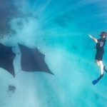 Marine Eco Safari - Swim with Manta Rays - Who Should Book This Tour?