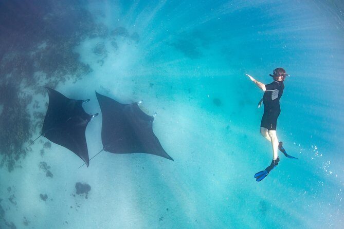 Marine Eco Safari - Swim with Manta Rays - Who Should Book This Tour?