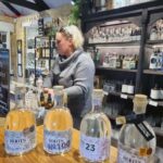 Marlborough: Craft Beer, Roots Gin, and Whisky & Wine Tour - Discovering Marlborough’s Craft Beverage Scene