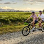 Marlborough: Full-Day Self-Guided Biking Wine Tour - Who Is This Tour Best For?