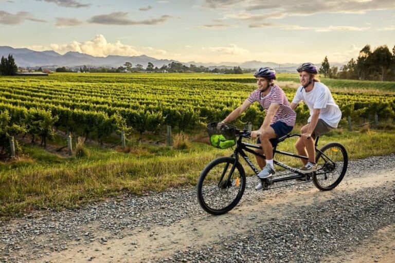 Marlborough: Full-Day Self-Guided Biking Wine Tour - Who Is This Tour Best For?
