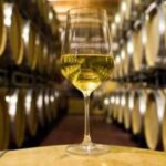 Marlborough Full Day Wine Tour - Who Will Love This Tour?