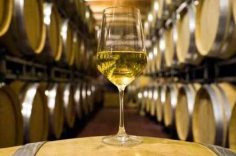 Marlborough Full Day Wine Tour - Who Will Love This Tour?