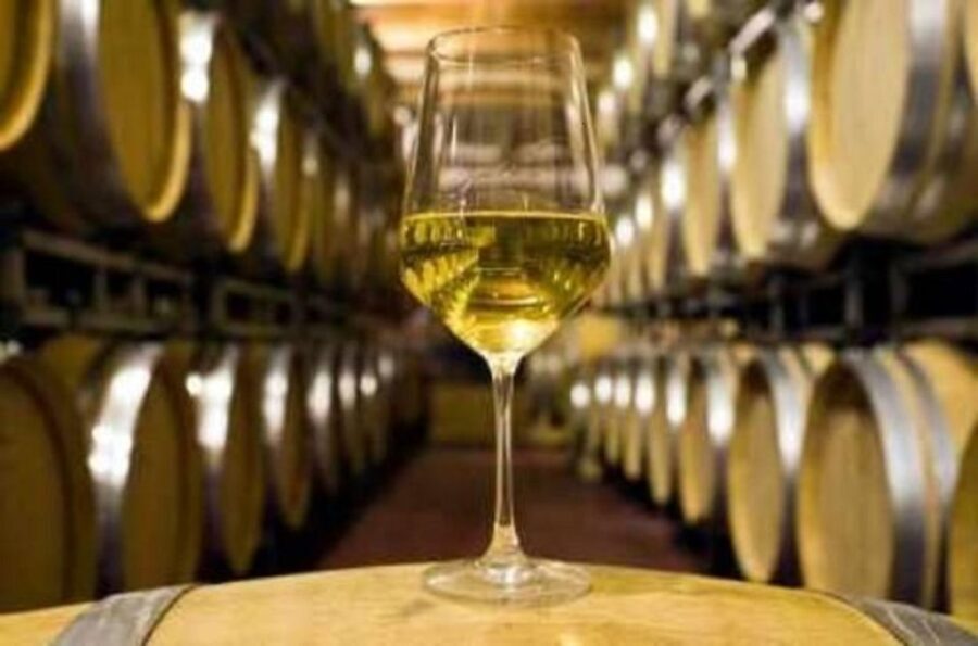 Marlborough Full Day Wine Tour - Who Will Love This Tour?