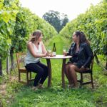 Marlborough Half Day Wine Tour From Picton - Deep Dive: The Value of a Half-Day Tour