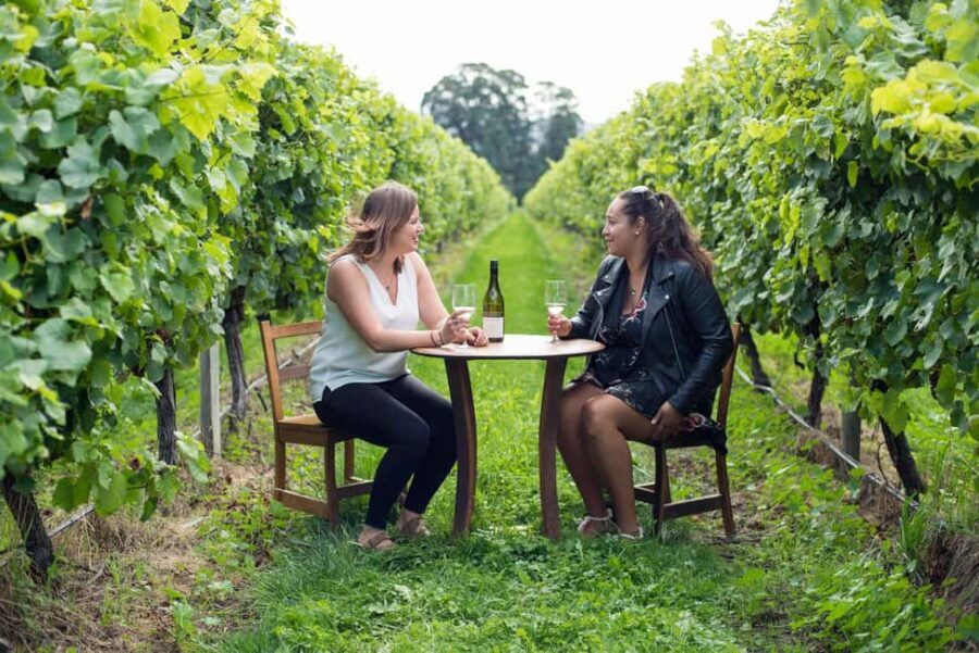 Marlborough Half Day Wine Tour From Picton - Deep Dive: The Value of a Half-Day Tour
