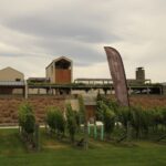 Marlborough: Hop-On Hop-Off Wine, Brewery, and Wonders Tour - Who Will Love This Tour?