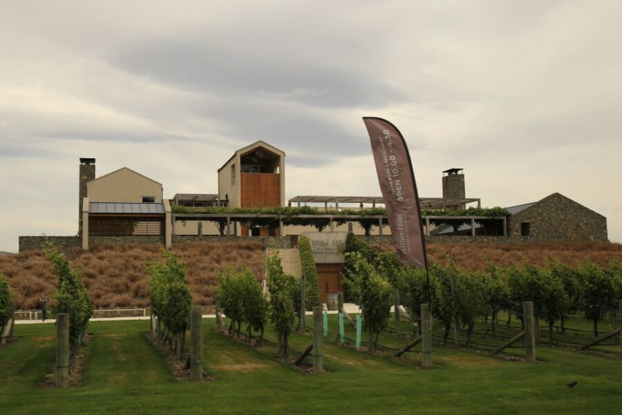Marlborough: Hop-On Hop-Off Wine, Brewery, and Wonders Tour - Who Will Love This Tour?