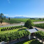 Marlborough Private Classic Wine Tour - The Practicalities: Transport, Guides, and Group Size