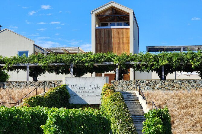 Marlborough Private Classic Wine Tour - Who Should Consider This Tour?