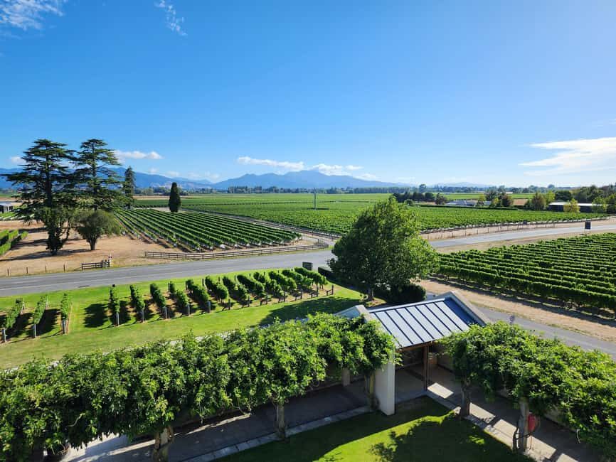 Marlborough Private Classic Wine Tour - The Practicalities: Transport, Guides, and Group Size