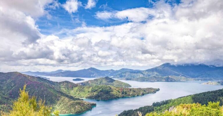 Marlborough Sounds and Ship Cove Cruise from Picton - The Sum Up: A Solid Choice for Scenic and Cultural Appreciation