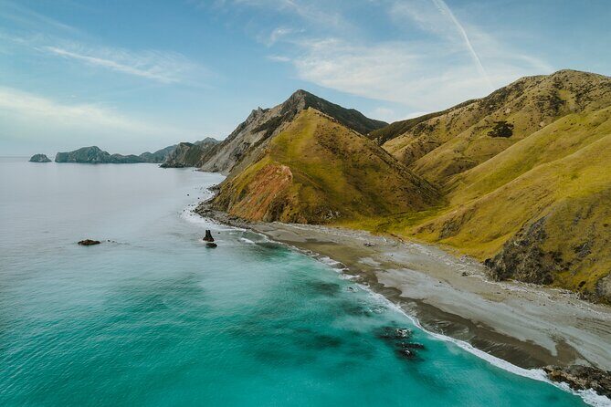 Marlborough Sounds Scenic - The Sum Up: Is It Worth It?