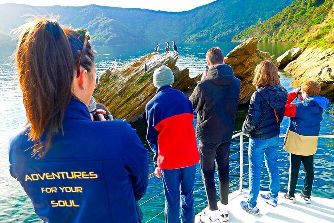 Marlborough Sounds Ultimate Cruise - Frequently Asked Questions
