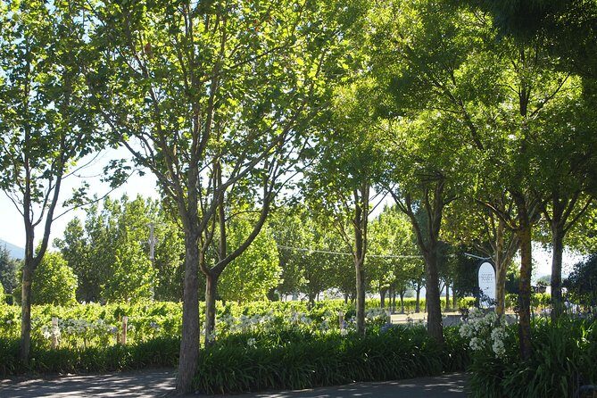 Marlborough Wine Region Tour from the Port of Picton - Frequently Asked Questions