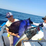 Marlin fishing in guayabitos - Final Reflection
