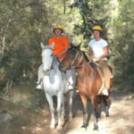 Marmaris: Horse Riding & Safari with Hotel Transfer - The Scenic Route and Highlights