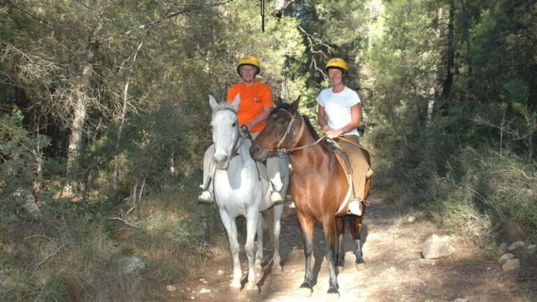 Marmaris: Horse Riding & Safari with Hotel Transfer - The Scenic Route and Highlights