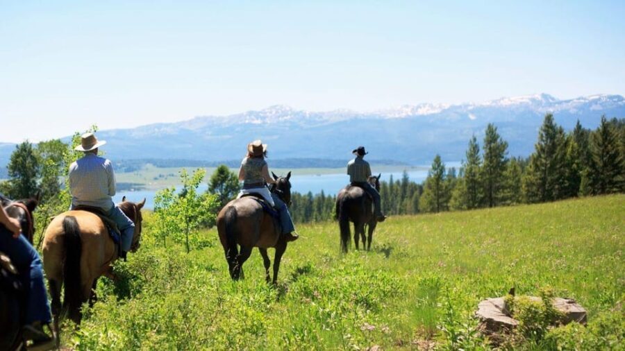 Marmaris Horse Safari - An In-Depth Look at the Marmaris Horse Safari Experience